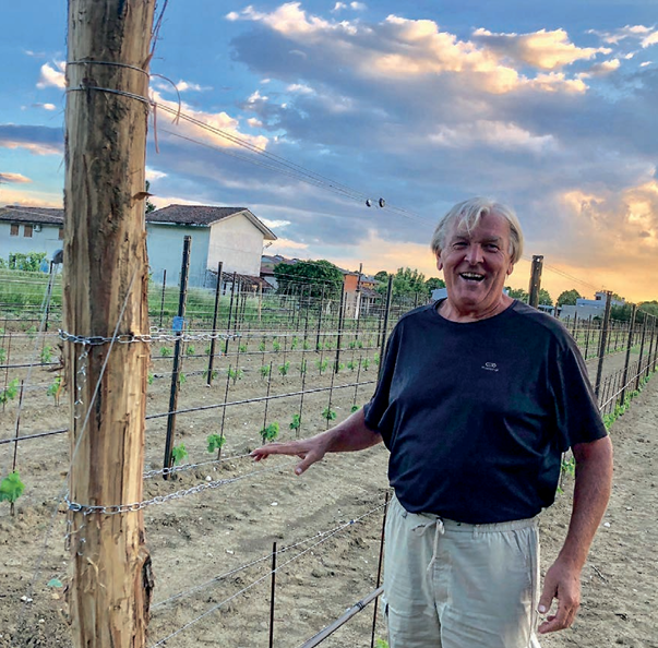 Pauli il cesellatore delle vigne