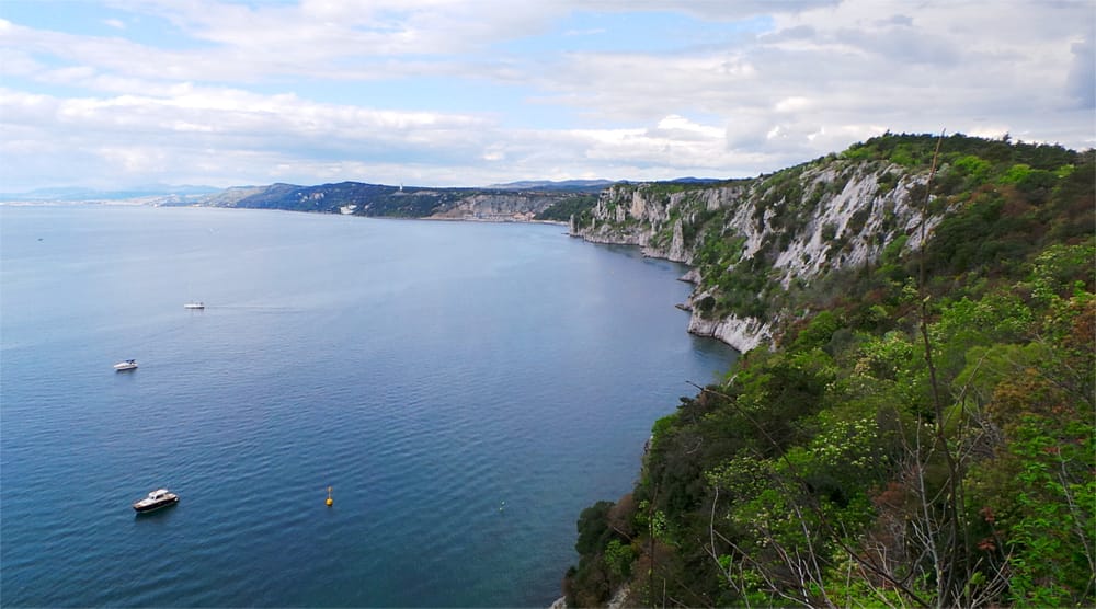 Viticoltura e agricoltura  sul Carso pubblica l'immagine