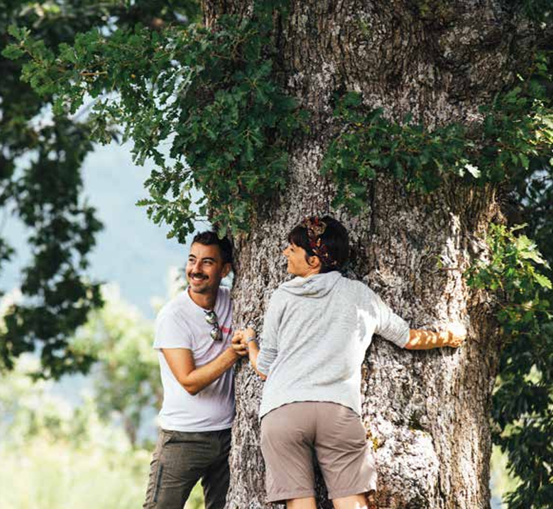 Casa Netural a Gorizia pubblica l'immagine