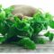 Basilico e origano: una coppia inseparabile