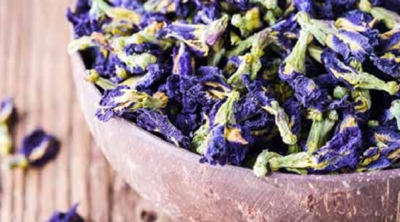 butterfly Butterfly pea flower