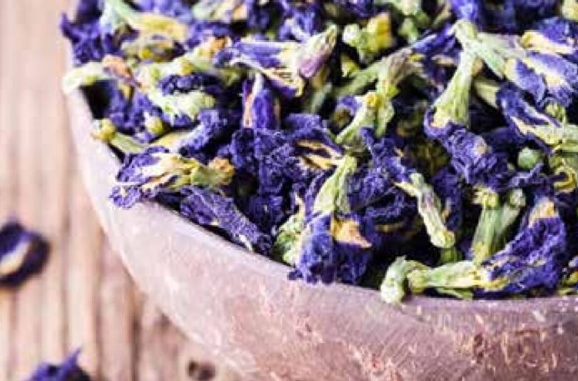 butterfly Butterfly pea flower