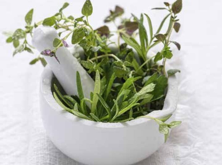 erbe DI OGNI ERBA… UN PIATTO! Le erbe in cucina